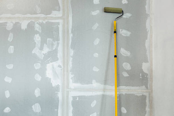 Best Drywall Sanding and Smoothing  in Loganville, PA